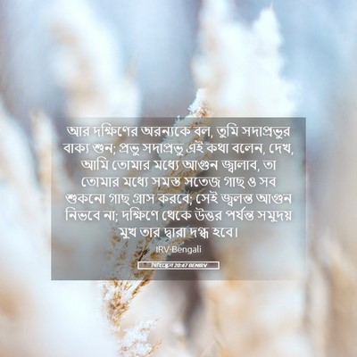 Picture 05 - যিহিষ্কেল 20:47 BENIRV - আর দক্ষিণের - Bible Verse Picture
