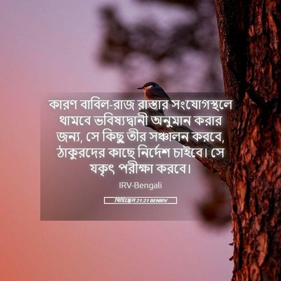 Picture 05 - যিহিষ্কেল 21:21 BENIRV - কারণ বাবিল-রাজ - Bible Verse Picture