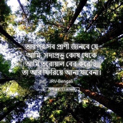 Picture 05 - যিহিষ্কেল 21:5 BENIRV - তারপর সব প্রাণী - Bible Verse Picture
