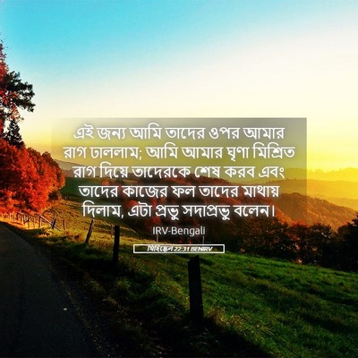 Picture 05 - যিহিষ্কেল 22:31 BENIRV - এই জন্য আমি তাদের - Bible Verse Picture