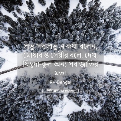 Picture 05 - যিহিষ্কেল 25:8 BENIRV - প্রভু সদাপ্রভু এ - Bible Verse Picture