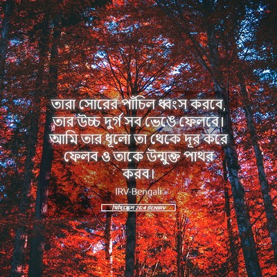 Picture 05 - যিহিষ্কেল 26:4 BENIRV - তারা সোরের পাঁচিল - Bible Verse Picture