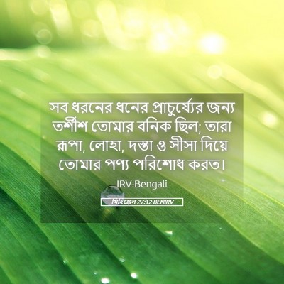 Picture 05 - যিহিষ্কেল 27:12 BENIRV - সব ধরনের ধনের - Bible Verse Picture