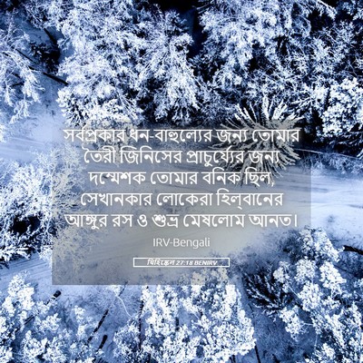 Picture 05 - যিহিষ্কেল 27:18 BENIRV - সর্বপ্রকার - Bible Verse Picture