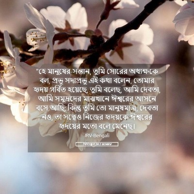 Picture 05 - যিহিষ্কেল 28:2 BENIRV - “হে - Bible Verse Picture