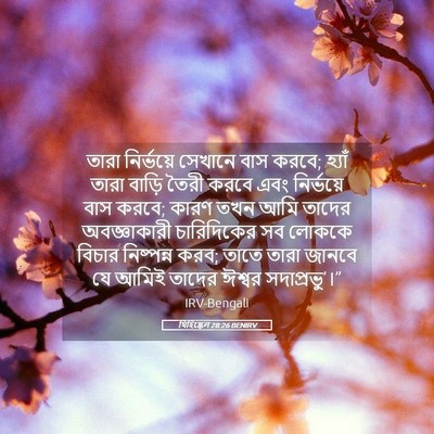 Picture 05 - যিহিষ্কেল 28:26 BENIRV - তারা নির্ভয়ে - Bible Verse Picture