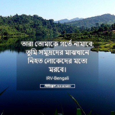 Picture 05 - যিহিষ্কেল 28:8 BENIRV - তারা তোমাকে গর্তে - Bible Verse Picture