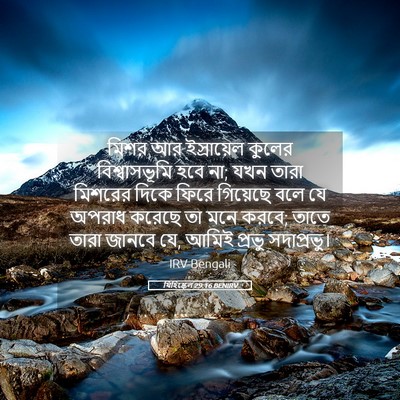 Picture 05 - যিহিষ্কেল 29:16 BENIRV - মিশর আর ইস্রায়েল - Bible Verse Picture