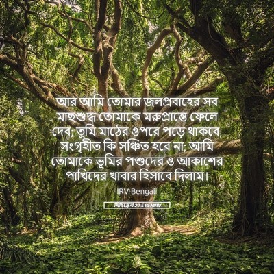 Picture 05 - যিহিষ্কেল 29:5 BENIRV - আর আমি তোমার - Bible Verse Picture