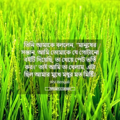 Picture 05 - যিহিষ্কেল 3:3 BENIRV - তিনি আমাকে বললেন, - Bible Verse Picture