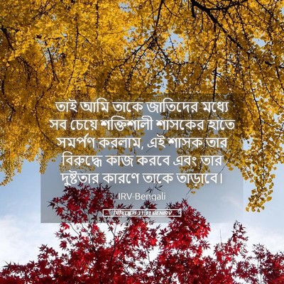 Picture 05 - যিহিষ্কেল 31:11 BENIRV - তাই আমি তাকে - Bible Verse Picture