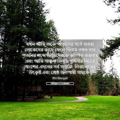 Picture 05 - যিহিষ্কেল 31:16 BENIRV - যখন আমি তাকে - Bible Verse Picture