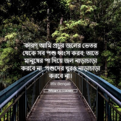 Picture 05 - যিহিষ্কেল 32:13 BENIRV - কারণ আমি প্রচুর - Bible Verse Picture