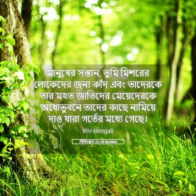 Picture 05 - যিহিষ্কেল 32:18 BENIRV - মানুষের সন্তান, - Bible Verse Picture