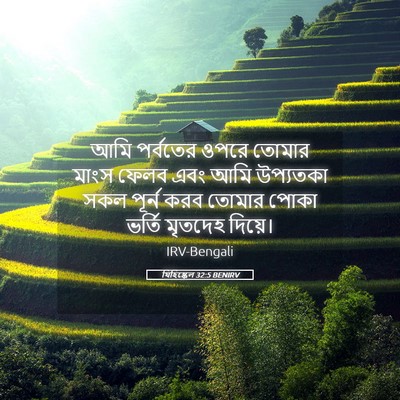 Picture 05 - যিহিষ্কেল 32:5 BENIRV - আমি পর্বতের ওপরে - Bible Verse Picture