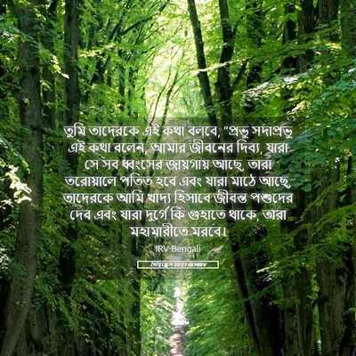 Picture 05 - যিহিষ্কেল 33:27 BENIRV - তুমি তাদেরকে এই - Bible Verse Picture