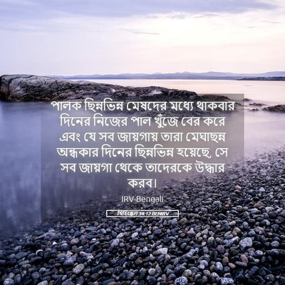 Picture 05 - যিহিষ্কেল 34:12 BENIRV - পালক ছিন্নভিন্ন - Bible Verse Picture