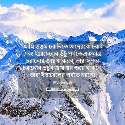 Picture 05 - যিহিষ্কেল 34:14 BENIRV - আমি উত্তম চরানিতে - Bible Verse Picture