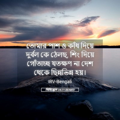 Picture 05 - যিহিষ্কেল 34:21 BENIRV - তোমার পাশ ও কাঁধ - Bible Verse Picture