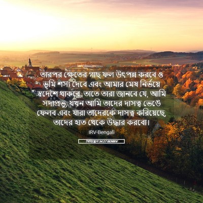 Picture 05 - যিহিষ্কেল 34:27 BENIRV - তারপর ক্ষেতের গাছ - Bible Verse Picture