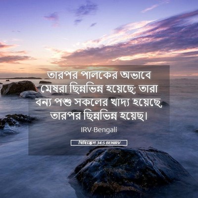 Picture 05 - যিহিষ্কেল 34:5 BENIRV - তারপর পালকের - Bible Verse Picture