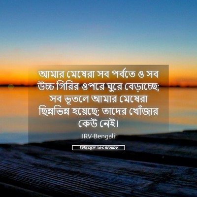 Picture 05 - যিহিষ্কেল 34:6 BENIRV - আমার মেষেরা সব - Bible Verse Picture