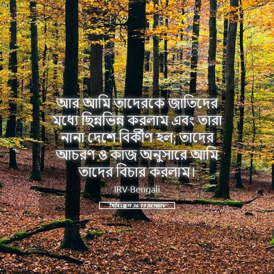 Picture 05 - যিহিষ্কেল 36:19 BENIRV - আর আমি তাদেরকে - Bible Verse Picture