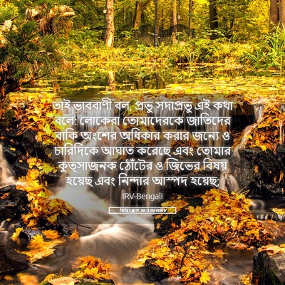 Picture 05 - যিহিষ্কেল 36:3 BENIRV - তাই ভাববাণী বল, - Bible Verse Picture