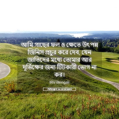 Picture 05 - যিহিষ্কেল 36:30 BENIRV - আমি গাছের ফল ও - Bible Verse Picture