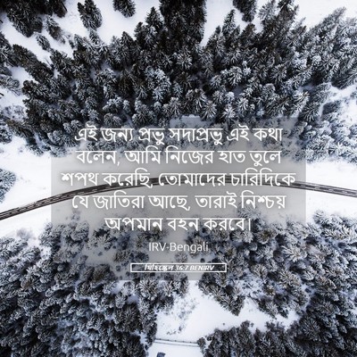 Picture 05 - যিহিষ্কেল 36:7 BENIRV - এই জন্য প্রভু - Bible Verse Picture