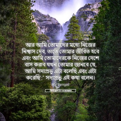 Picture 05 - যিহিষ্কেল 37:14 BENIRV - আর আমি তোমাদের - Bible Verse Picture