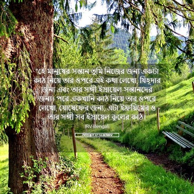 Picture 05 - যিহিষ্কেল 37:16 BENIRV - “হে - Bible Verse Picture