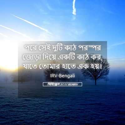 Picture 05 - যিহিষ্কেল 37:17 BENIRV - পরে সেই দুটি কাঠ - Bible Verse Picture