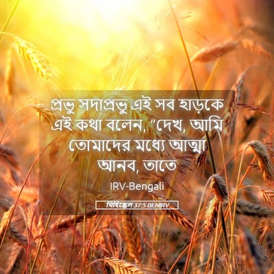 Picture 05 - যিহিষ্কেল 37:5 BENIRV - প্রভু সদাপ্রভু এই - Bible Verse Picture