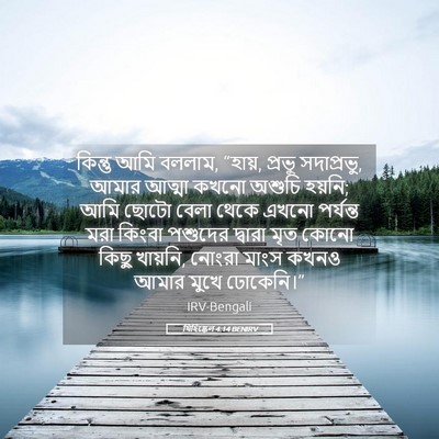 Picture 05 - যিহিষ্কেল 4:14 BENIRV - কিন্তু আমি বললাম, - Bible Verse Picture