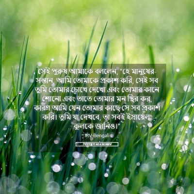 Picture 05 - যিহিষ্কেল 40:4 BENIRV - সেই পুরুষ আমাকে - Bible Verse Picture