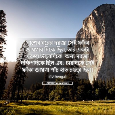 Picture 05 - যিহিষ্কেল 41:11 BENIRV - পাশের ঘরের দরজা - Bible Verse Picture