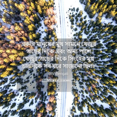 Picture 05 - যিহিষ্কেল 41:19 BENIRV - একটা মানুষের মুখ - Bible Verse Picture