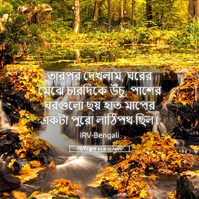 Picture 05 - যিহিষ্কেল 41:8 BENIRV - তারপর দেখলাম, ঘরের - Bible Verse Picture