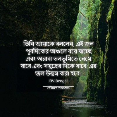 Picture 05 - যিহিষ্কেল 47:8 BENIRV - তিনি আমাকে বললেন, - Bible Verse Picture