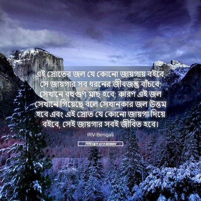 Picture 05 - যিহিষ্কেল 47:9 BENIRV - এই স্রোতের জল যে - Bible Verse Picture