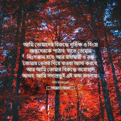 Picture 05 - যিহিষ্কেল 5:17 BENIRV - আমি তোমাদের - Bible Verse Picture