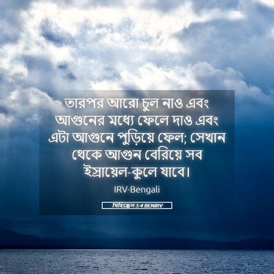 Picture 05 - যিহিষ্কেল 5:4 BENIRV - তারপর আরো চুল নাও - Bible Verse Picture