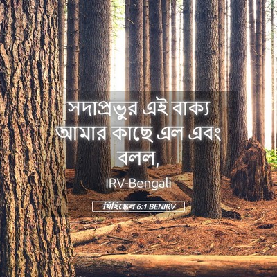 Picture 05 - যিহিষ্কেল 6:1 BENIRV - সদাপ্রভুর এই - Bible Verse Picture
