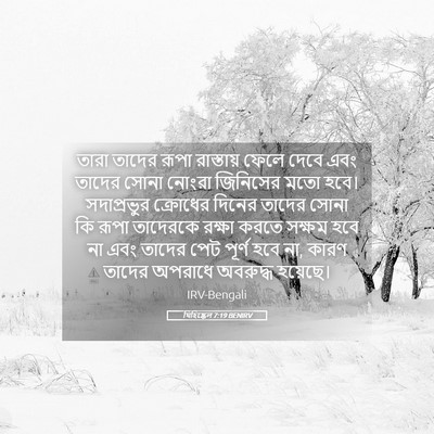 Picture 05 - যিহিষ্কেল 7:19 BENIRV - তারা তাদের রূপা - Bible Verse Picture