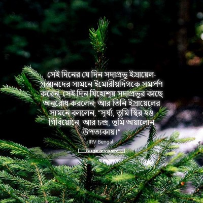 Picture 05 - যিহোচূৱা 10:12 BENIRV - সেই দিনের যে দিন - Bible Verse Picture