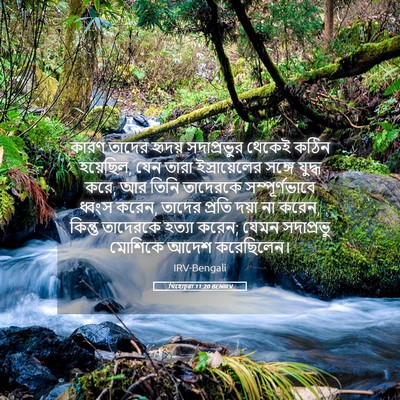 Picture 05 - যিহোচূৱা 11:20 BENIRV - কারণ তাদের হৃদয় - Bible Verse Picture