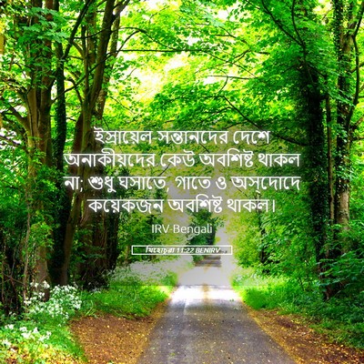 Picture 05 - যিহোচূৱা 11:22 BENIRV -  - Bible Verse Picture