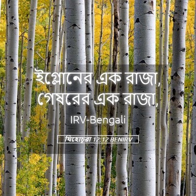 Picture 05 - যিহোচূৱা 12:12 BENIRV - ইগ্লোনের এক রাজা, - Bible Verse Picture