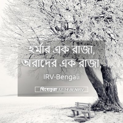 Picture 05 - যিহোচূৱা 12:14 BENIRV - হর্মার এক রাজা, - Bible Verse Picture